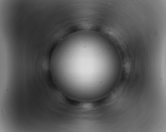 X0000092040665200709261951