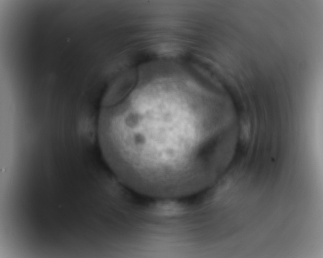 X0000092040666200709261951