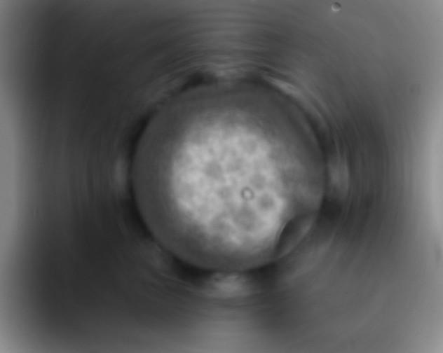 X0000092040667200709261951