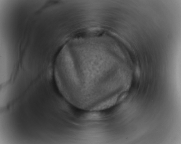 X0000092040668200709261951