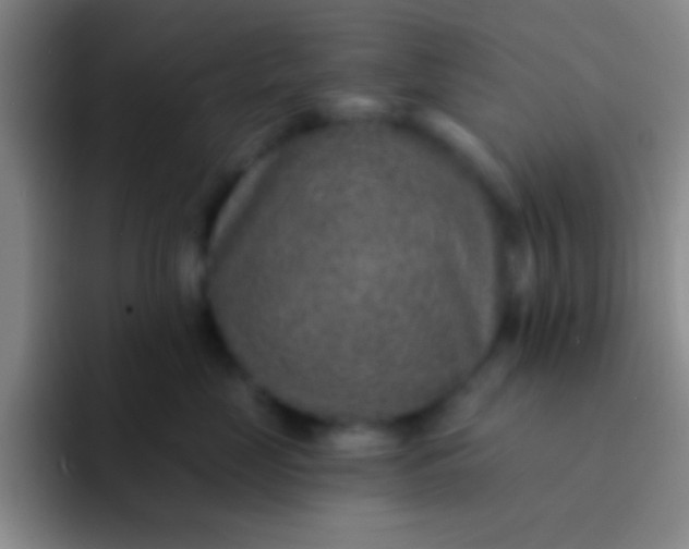 X0000092040669200709261951