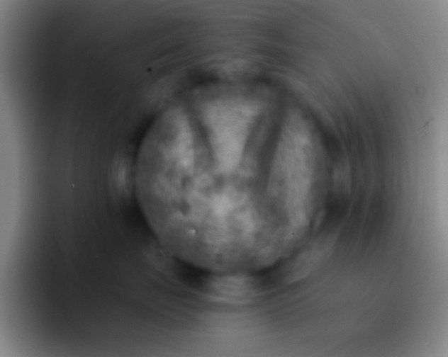 X0000092040671200709261951