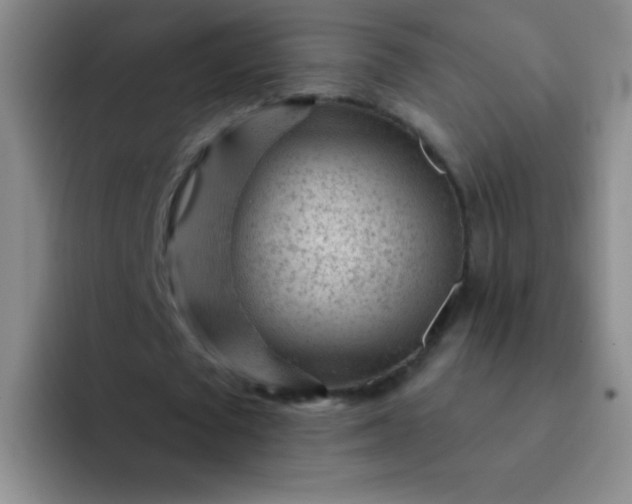 X0000092040673200709261951