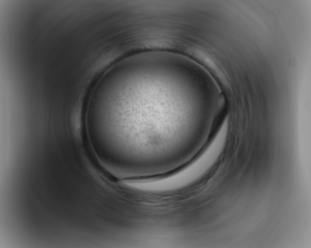 X0000092040677200709261951