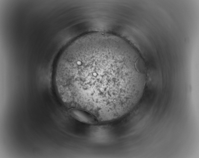 X0000092040679200709261951