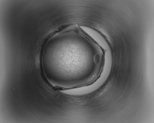 X0000092040681200709261951