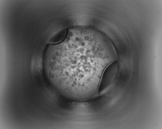 X0000092040683200709261951