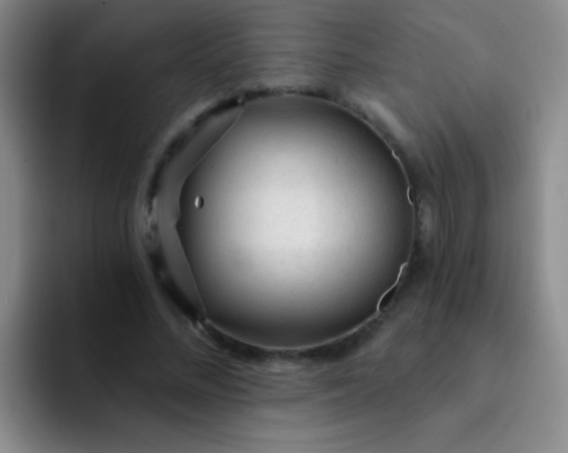 X0000092040684200709261951