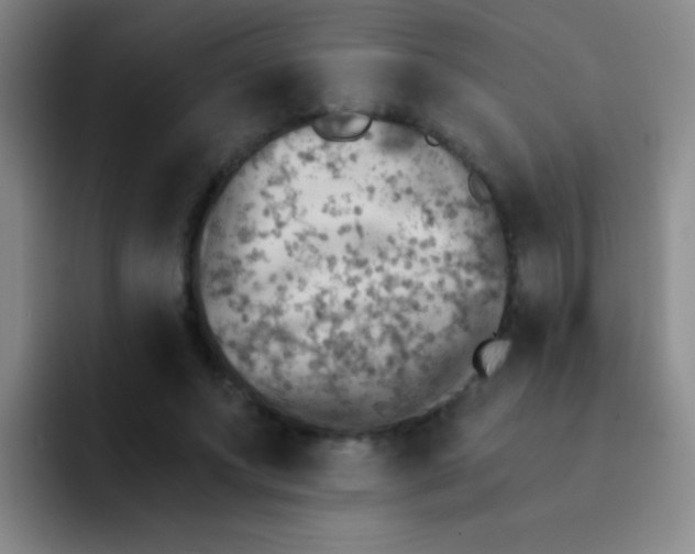 X0000092040687200709261951