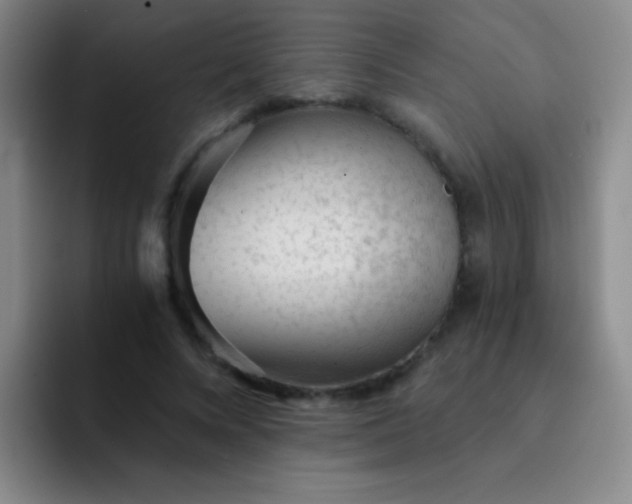 X0000092040688200709261951