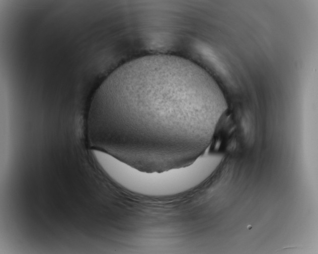 X0000092040689200709261951