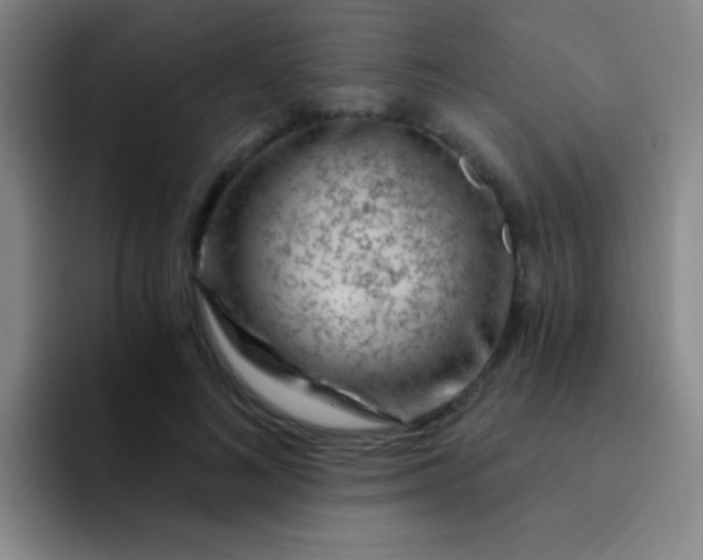 X0000092040692200709261951