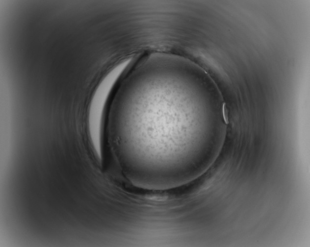 X0000092040693200709261950