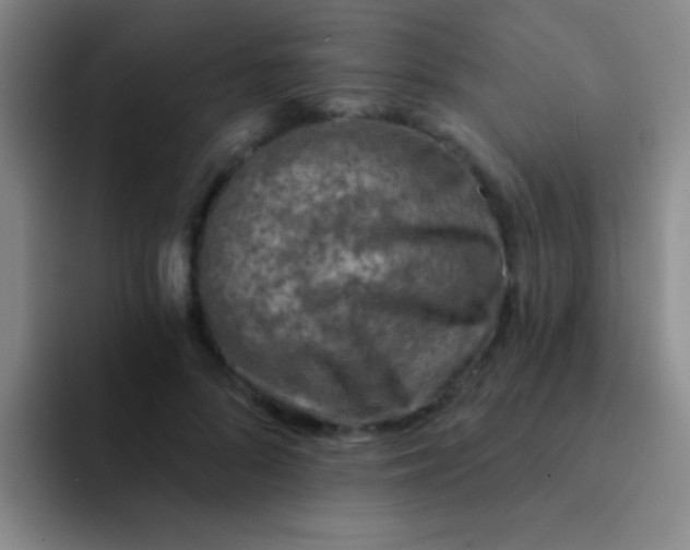 X0000092040696200709261950