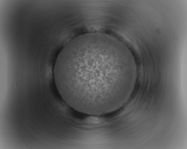 X0000092040699200709261950