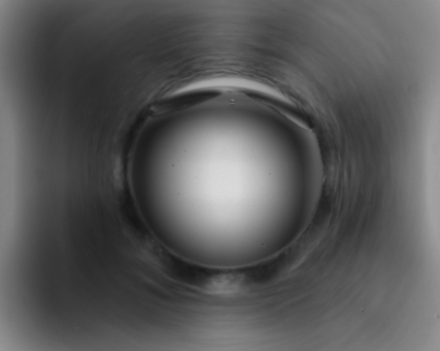 X0000092040700200709261950