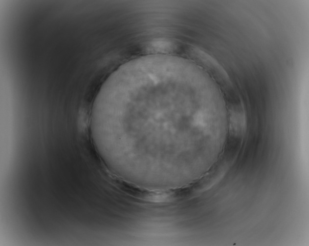 X0000092040701200709261950