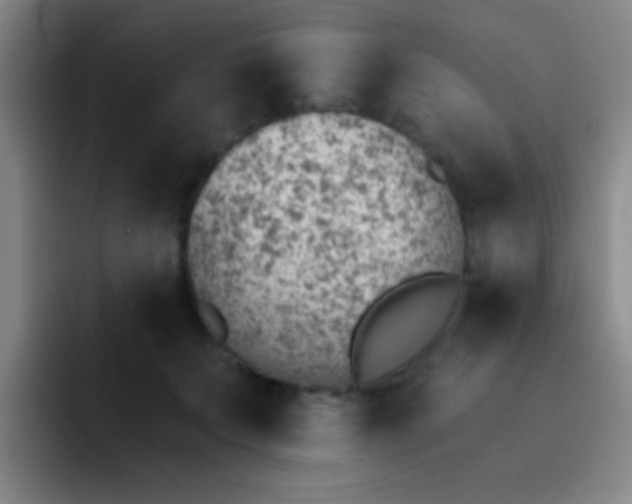 X0000092040703200709261950