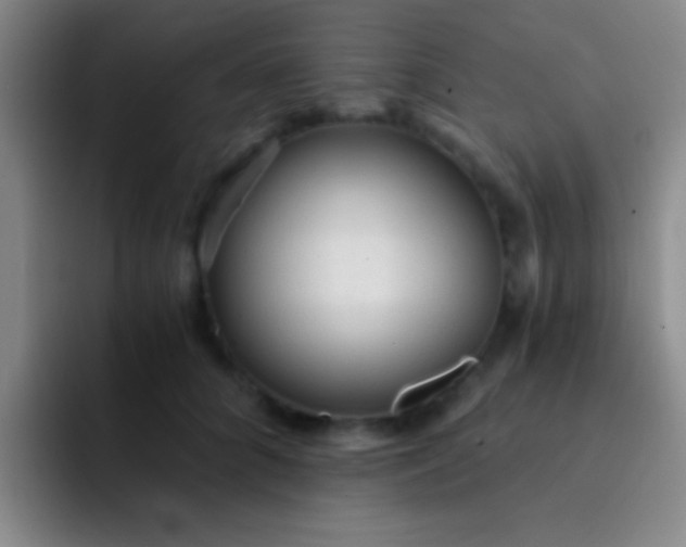 X0000092040704200709261950