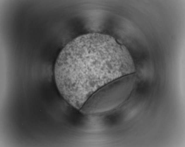 X0000092040707200709261950