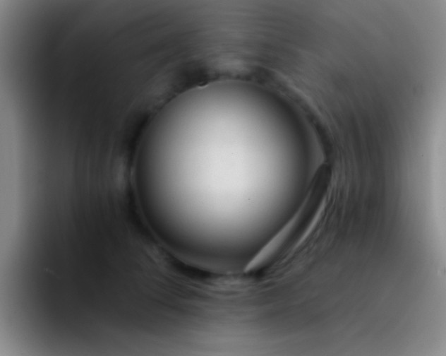 X0000092040708200709261950