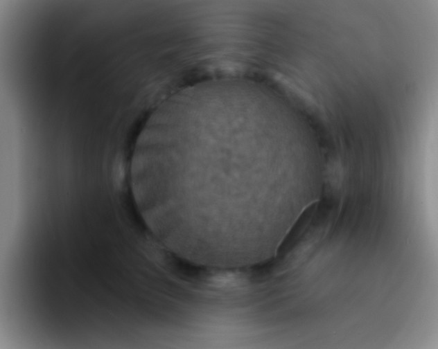 X0000092040709200709261950