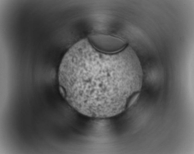 X0000092040711200709261950