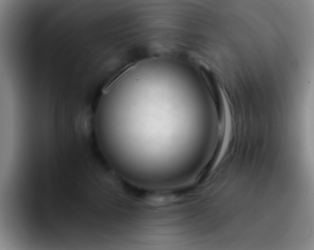 X0000092040712200709261950