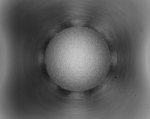 X0000092040713200709261950