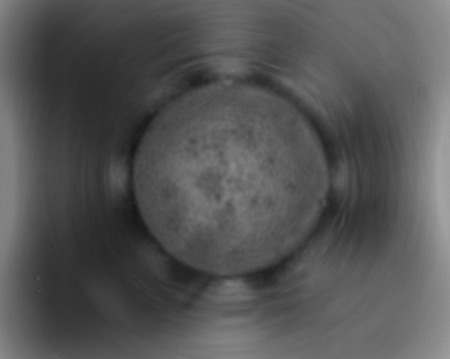 X0000092040715200709261950