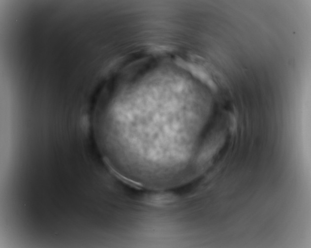 X0000092040716200709261950