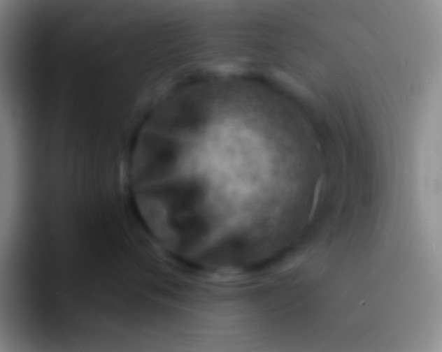 X0000092040720200709261950