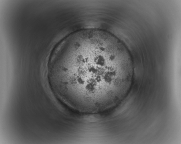 X0000092040721200709261950