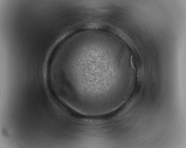 X0000092040722200709261950