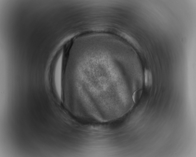 X0000092040723200709261950