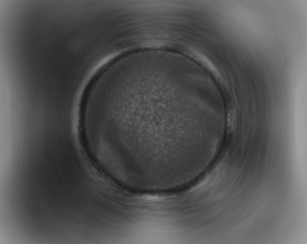 X0000092040724200709261950