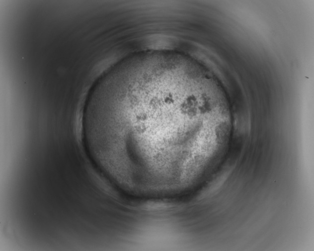 X0000092040725200709261950