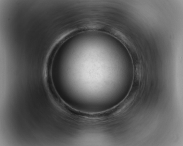 X0000092040726200709261950