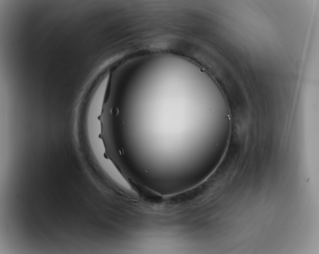 X0000092040728200709261950