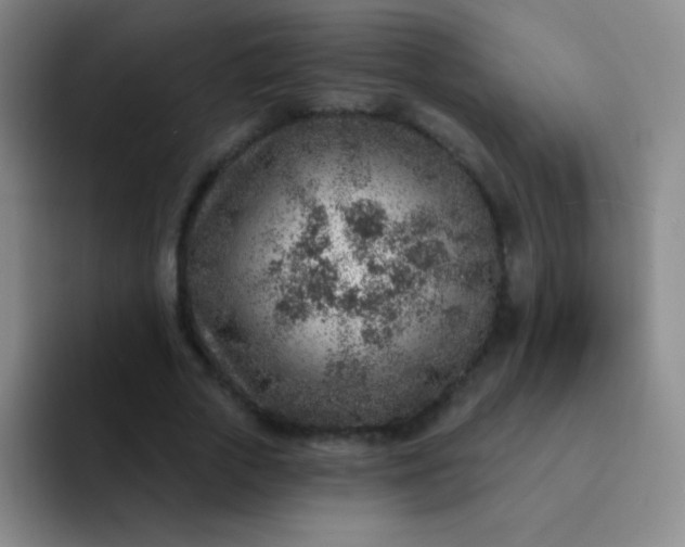 X0000092040729200709261950