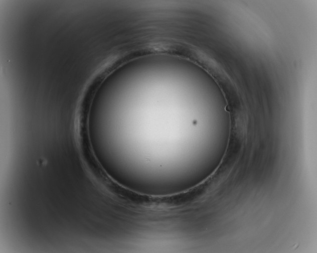 X0000092040730200709261950