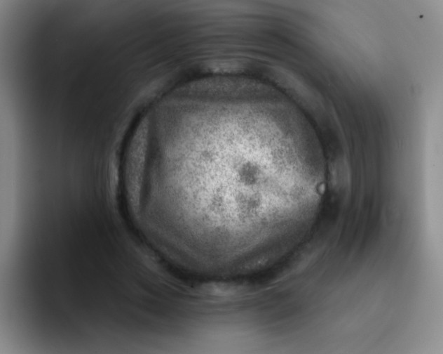 X0000092040733200709261950