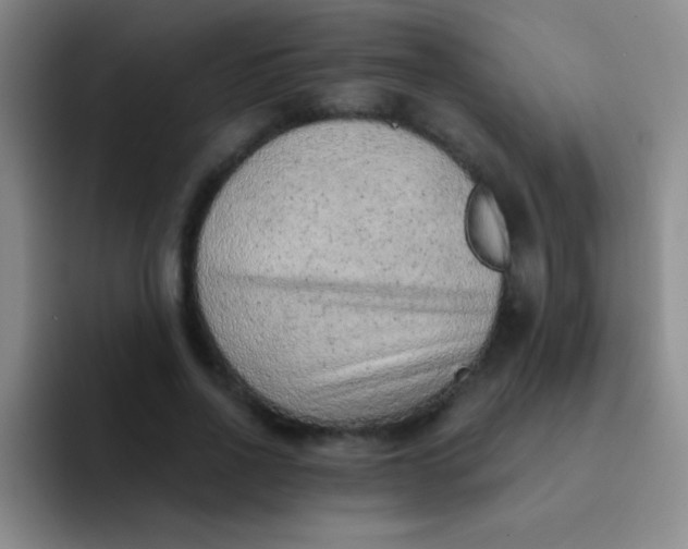 X0000092040734200709261950