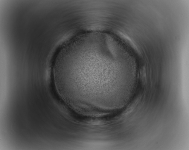 X0000092040735200709261950