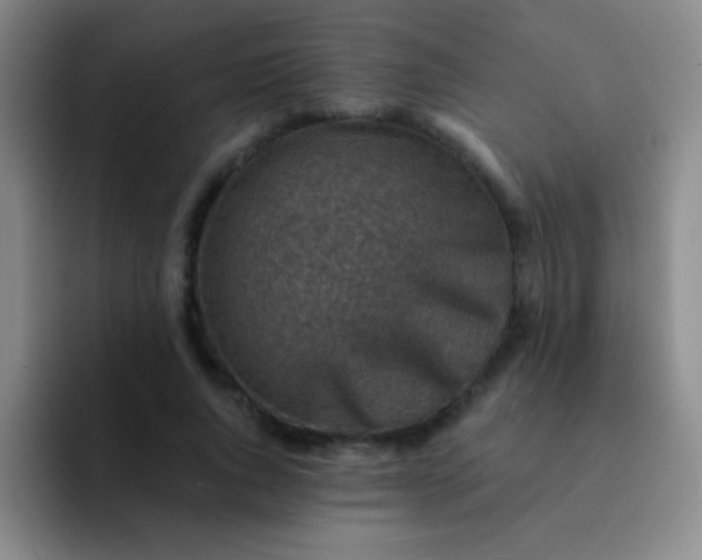 X0000092040736200709261950