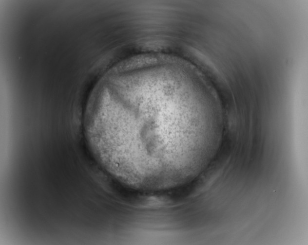 X0000092040737200709261950