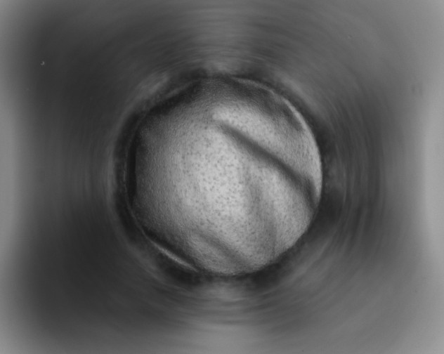 X0000092040738200709261950