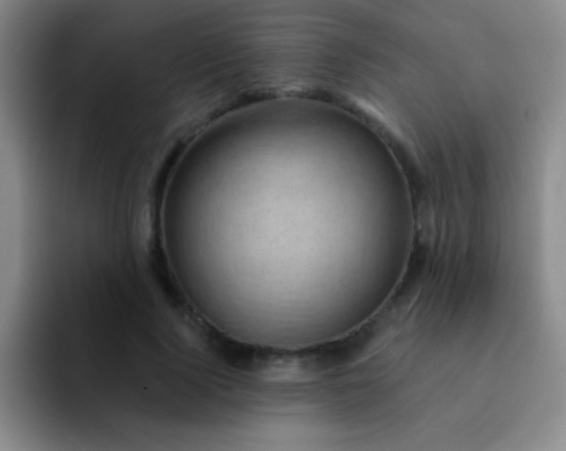 X0000092040740200709261950