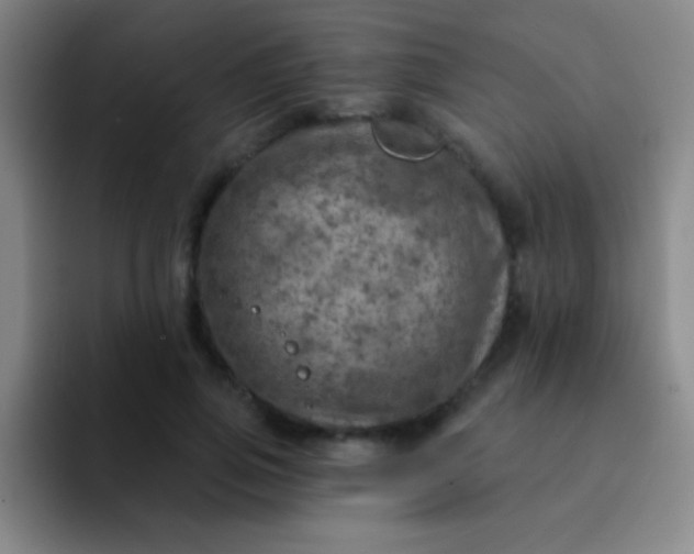 X0000092040741200709261950