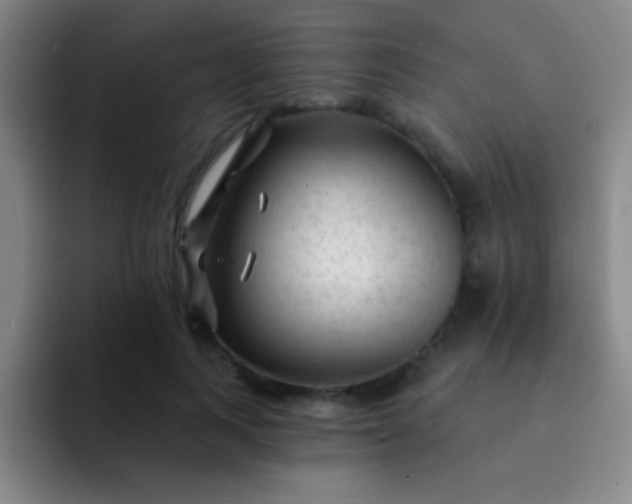 X0000092040743200709261950